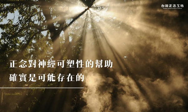 正念對神經可塑性的幫助，確實是可能存在的